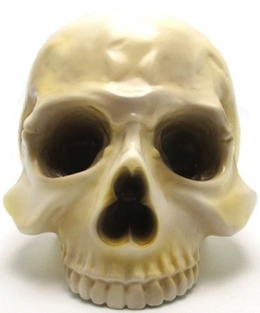 1/1 Skull Head - 50s figure by Secret Base X Artoyz, produced by Secret Base. Front view.