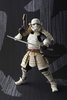 Ashigaru Stormtrooper