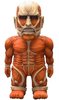 Attack on Titan - Colossal Titan 