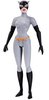 Batman The Animated Series Catwoman Action Figure