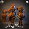 Buford Mandrake