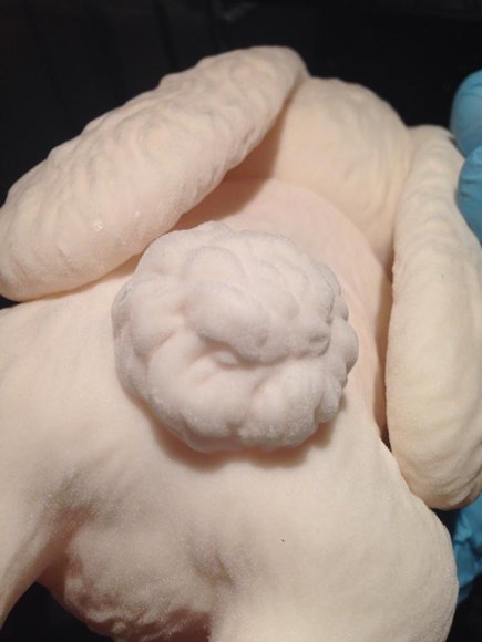 Choices Flocked (Fur) Variant figure by Jermaine Rogers, produced by Flying Lulu. Back view.