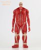 Colossal Titan (Attack on Titan)