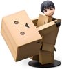 Danboard