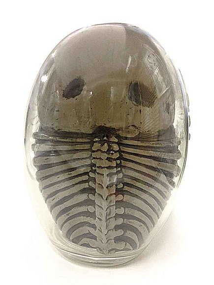 DARUMA SKULL - CLEAR w/ SMOKE GRAY FOSSIL figure by Kazzrock, produced by Secret Base. Back view.