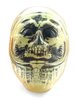 DARUMA SKULL X-RAY G.I.D.