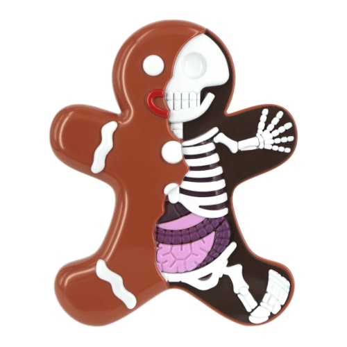 Dissected Gingerbread Man
