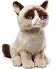 Grumpy Cat