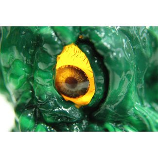 Hedorah - Kaiju-Taro Exclusive (Letter Eye Version) figure, produced by Ccp. Detail view.