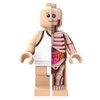 Jason Freeny Bigger Micro Anatomic Figure 11"