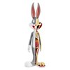 Looney Tunes Bugs Bunny Anatomical Wabbit By Jason Freeny