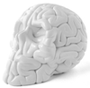 Mini Skull Brain (white)