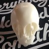 Paper+Plastic Skull (white)