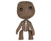 Quizzical Sackboy