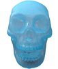 Skull - Light Blue