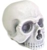 1/1 Skull Head - Flocked