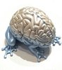 Jumping Brain Hp Resin I