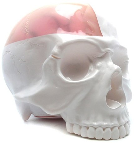 Skull Head 1/1 - 1/4 clear figure, produced by Secret Base. Front view.