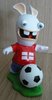 England Rabbid