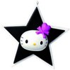 Star Kitty