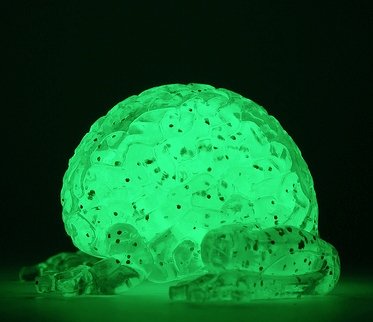 Mini Jumping Brain figure by Emilio Garcia, produced by Toy2R. Front view.
