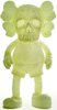 KAWS x Pushead Companion - GID