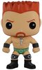 WWE - Sheamus POP!