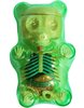 Anatomical Gummi Bear 3D Puzzle - Green