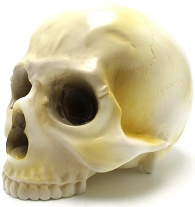 1/1 Skull Head - 50s figure by Secret Base X Artoyz, produced by Secret Base. Front view.