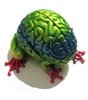 Jumping Brain Hp Resin G